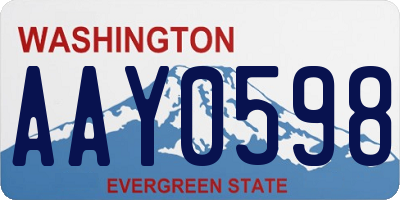 WA license plate AAY0598