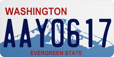 WA license plate AAY0617
