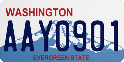 WA license plate AAY0901