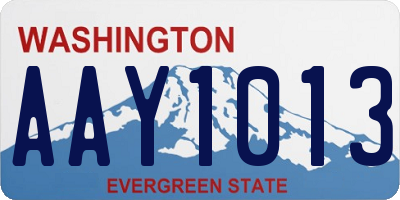 WA license plate AAY1013