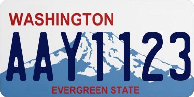 WA license plate AAY1123
