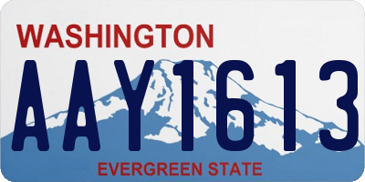WA license plate AAY1613