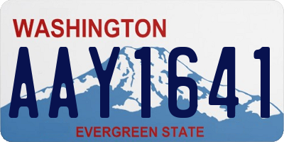 WA license plate AAY1641