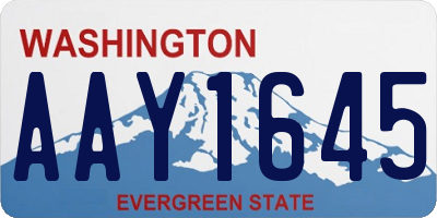 WA license plate AAY1645