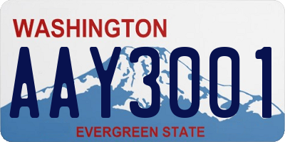WA license plate AAY3001