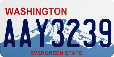 WA license plate AAY3239