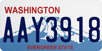 WA license plate AAY3918