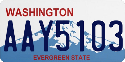 WA license plate AAY5103