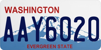 WA license plate AAY6020