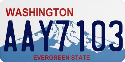 WA license plate AAY7103