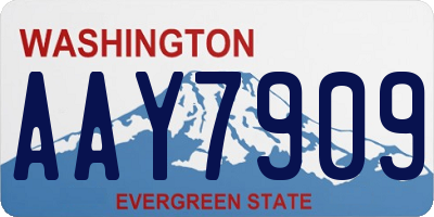 WA license plate AAY7909