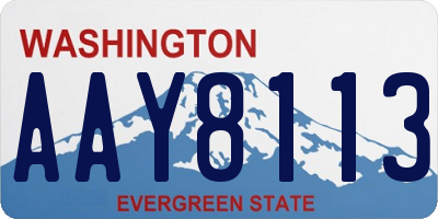 WA license plate AAY8113