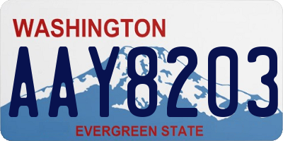 WA license plate AAY8203
