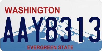 WA license plate AAY8313