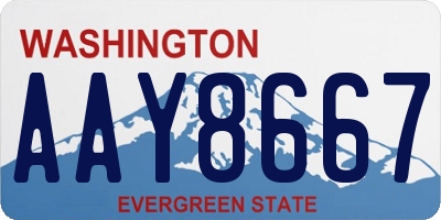 WA license plate AAY8667
