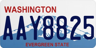 WA license plate AAY8825