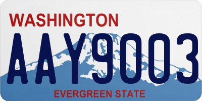 WA license plate AAY9003