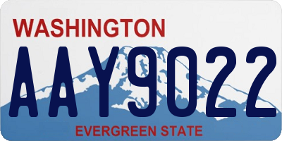 WA license plate AAY9022