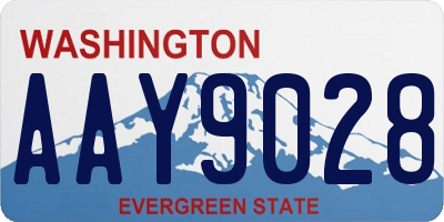WA license plate AAY9028