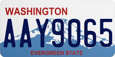 WA license plate AAY9065