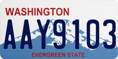 WA license plate AAY9103