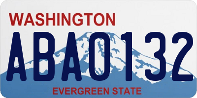 WA license plate ABA0132