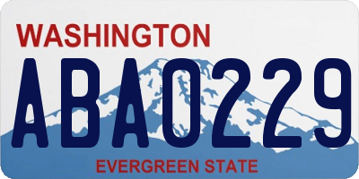 WA license plate ABA0229