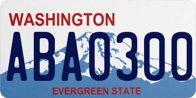 WA license plate ABA0300