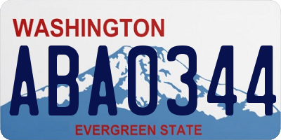 WA license plate ABA0344
