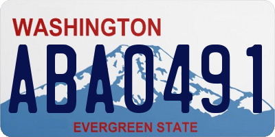 WA license plate ABA0491
