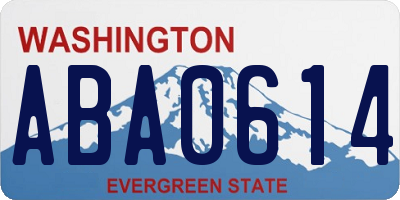 WA license plate ABA0614