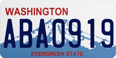 WA license plate ABA0919