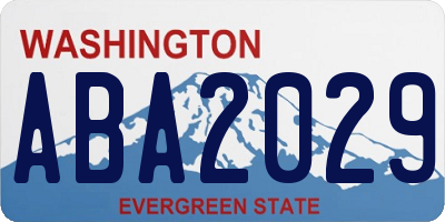 WA license plate ABA2029