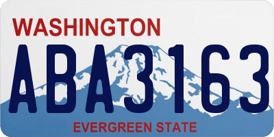 WA license plate ABA3163