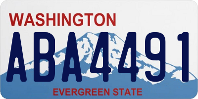 WA license plate ABA4491