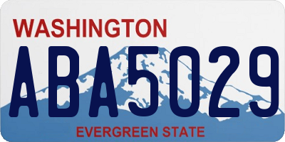 WA license plate ABA5029