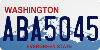 WA license plate ABA5045