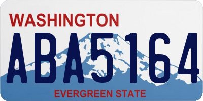 WA license plate ABA5164