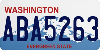 WA license plate ABA5263