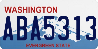 WA license plate ABA5313
