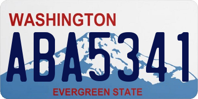 WA license plate ABA5341