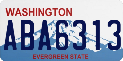 WA license plate ABA6313