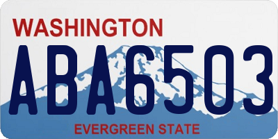 WA license plate ABA6503
