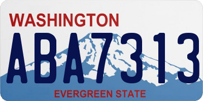 WA license plate ABA7313
