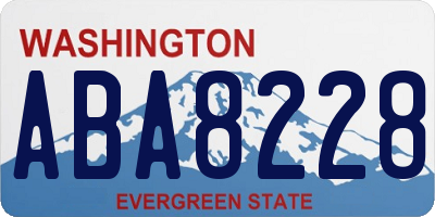 WA license plate ABA8228