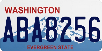 WA license plate ABA8256