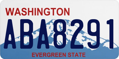WA license plate ABA8291