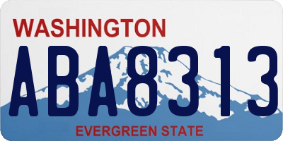 WA license plate ABA8313