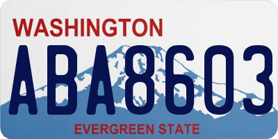WA license plate ABA8603