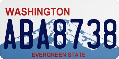 WA license plate ABA8738